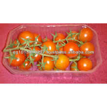 fresh cherry tomatoes